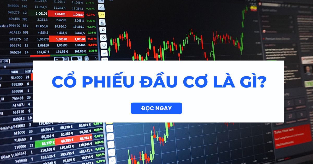 co-phieu-dau-co-la-gi