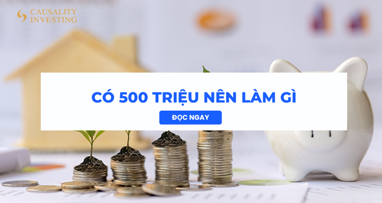 Co_500_trieu_nen_lam_gi
